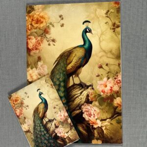 Greeting Cards - Peacock